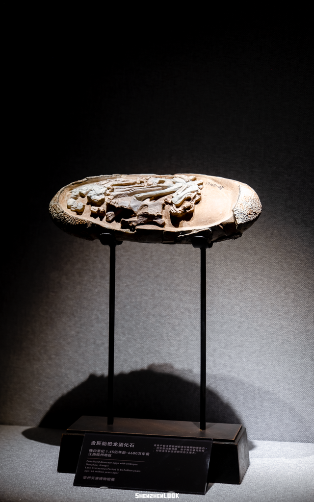 “这可能是深圳最热闹的周末，攻略准备好了”