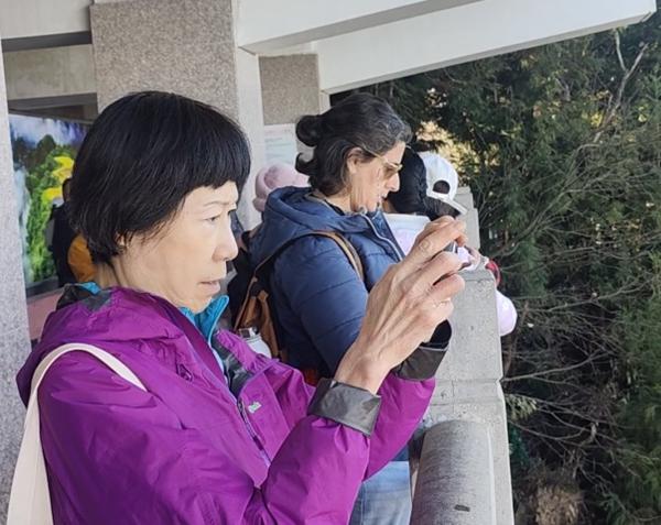 张家界国家森林公园迎初冬云海 吸引大批中外游客驻足