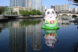 “五一”假期萌趣来袭！大熊猫“花花”打卡装置空降成都府南河音乐公园图片