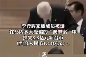 李登辉家族被金融诈骗损失约1.24亿人民币，受害者包括万海航运陈柏廷家族、著名艺人苏有朋等社会名流。图片