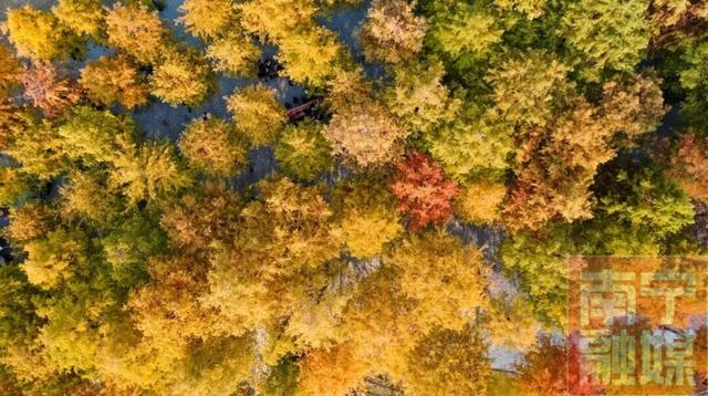 氛围感拉满！来邕江边解锁秋冬旅拍最佳背景板‌