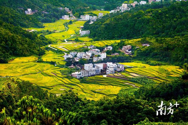 云端秘境，高山氧气之行|国庆游高州⑤
