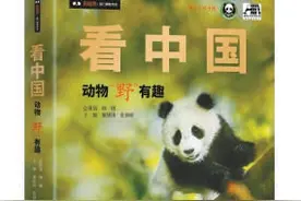 动物“野”有趣！动物眼中的人类，又是什么样儿？图片