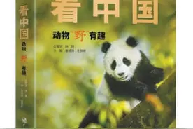 动物“野”有趣！动物眼中的人类，又是什么样儿？图片
