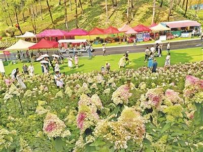 贵州梅园“花漾”清凉引客来