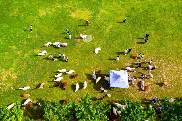 毕节发布4条精品旅游线路！