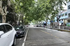 树枝挡道！路口的安全隐患待解决丨民情直通车图片