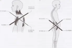 一个比散步还简单的动作，每天只需 10 分钟，就能改善体态、缓解肩颈痛！图片