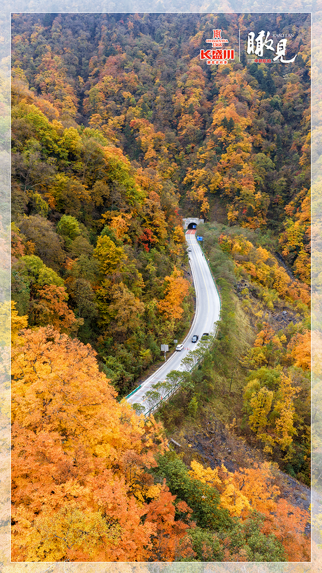 【瞰见】神农架：让心灵与自然共鸣