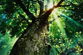 一文读懂大学生在校参保丨开学季图片