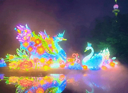 空降岛城!“萤火虫亲子游园会”8月22号来中山公园啦 10000只萤火虫免费发放