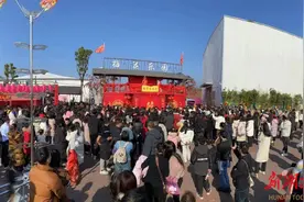 吃喝玩乐“衡”有味丨衡阳县：梅花乐园幻唐庙会开门红图片