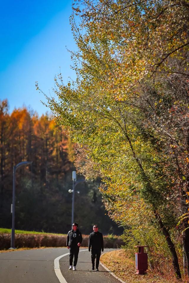 登高望远 敬老思亲 九九重阳 喜乐安康