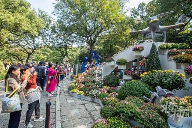 从8点堵到现在！杭州顶流回归