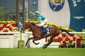 马主：“浪漫勇士”扬威海外将进一步提升香港赛马的国际地位图片