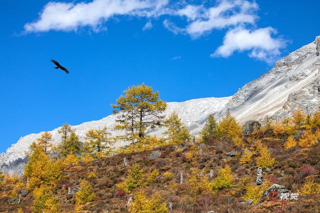 C视觉·遥望雪山(59)丨最佳观山季来临 C视觉摄影师把川西顶流美景为你“一网打尽”