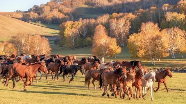 跟着电影去秋游｜这份精选秋日电影旅行地指南，请查收！