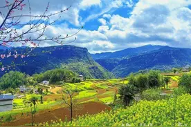 巴东：油菜花开春意浓 踏青赏花正当时图片