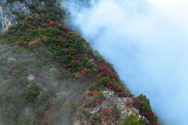 巫峡红透时，才懂中国秋天的壮阔