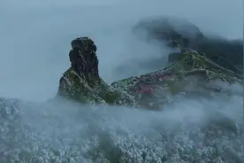 银装素裹  宛如仙境！贵州梵净山现雾凇美景图片