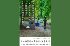 共青第九届森林科学营地夏令营正式开营！图片
