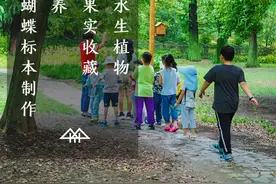 共青第九届森林科学营地夏令营正式开营！图片