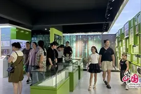 张家界武陵源：夜游夜赏夜食 越“夜”越精彩图片