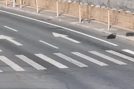 交警左臂粉碎性骨折，仍坚持完成任务！网友：看着都疼图片