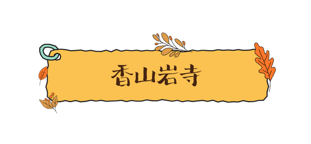 一键入秋！带你进入翔安的金黄秘境