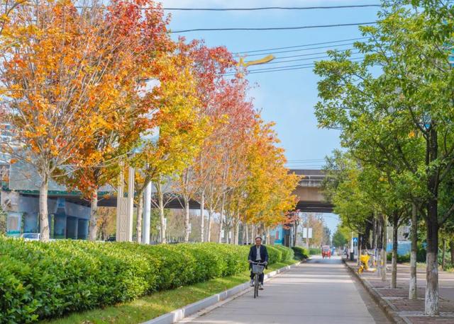 静谧的晋宁昆阳之秋，你可以清晰地听到自己的心跳