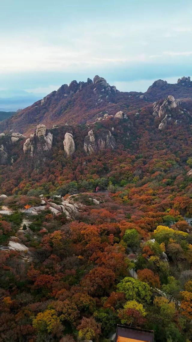 日照色彩派对开启！“美拉德”风景正当时！