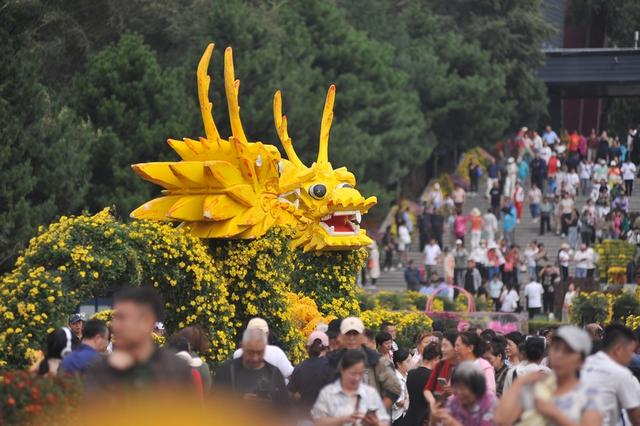 哈尔滨：菊花展人山人海 市民先睹为快