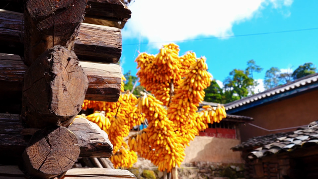 今天，楚雄要给你点颜色看看