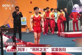 奥运有约丨双双卫冕 他们用行动捍卫中国体操荣誉图片