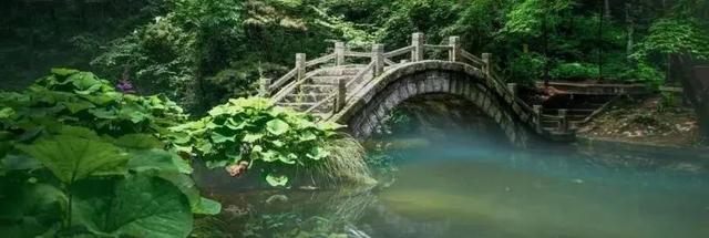 夜校成果展演来袭！​​这个夏天，嵩县“湖城追光”带你嗨起来！