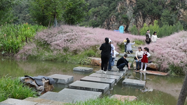 郧西县天河口湿地公园生态美景引客来