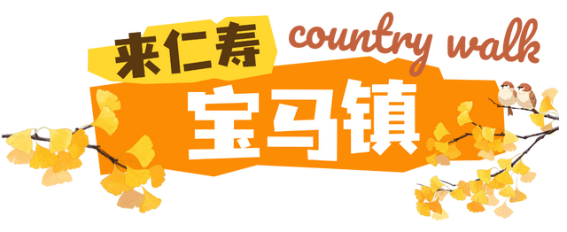 初秋country walk，是时候到仁寿村游啦