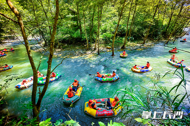 风裹竹香水带甜，在大围山寻一份盛夏清凉