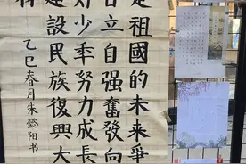合肥市伦先小学2025年寒假少先队活动优秀作品展示图片