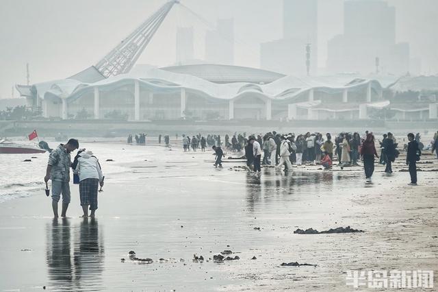 海滨雾朦胧，游客兴致浓