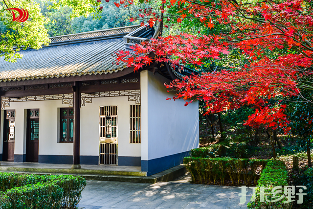 打卡乡野丨新年第一站，去上海离宇宙最近的村子，仰望星空，脚踏田野，开启元气新年