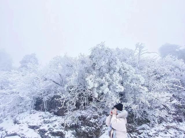 多地下雪！广西限定版“冰雪世界”已上线