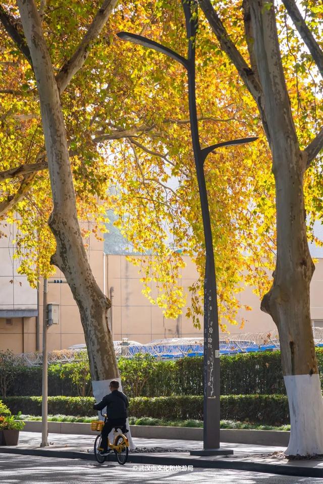 最新发现！2公里“金色隧道”，武汉人私藏了60年！