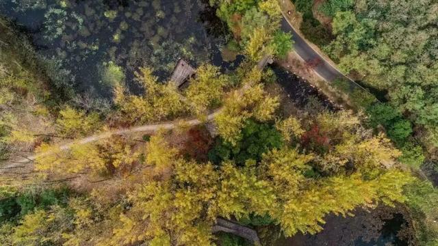 立冬第一游去哪里？淮安5处目的地，这个时节美翻了！