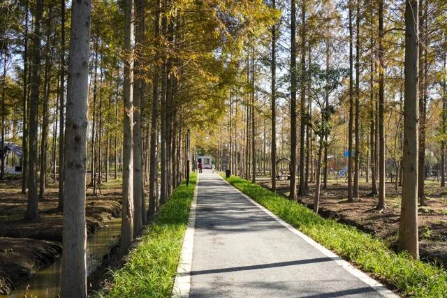 距离乐高乐园1.5公里，藏着一片…