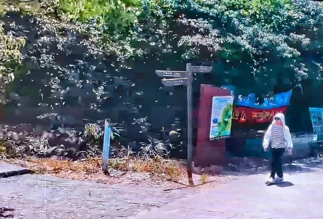 27岁男子深圳登山后失联，家属悬赏万元寻人：最后出现在海岸线附近，他为人开朗