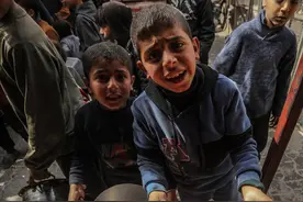 澎湃思想周报丨饥荒危机下的加沙与全球气候危机下的气候难民图片