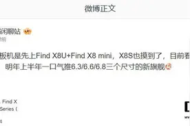 OPPO明年上半年将推三种尺寸旗舰机图片