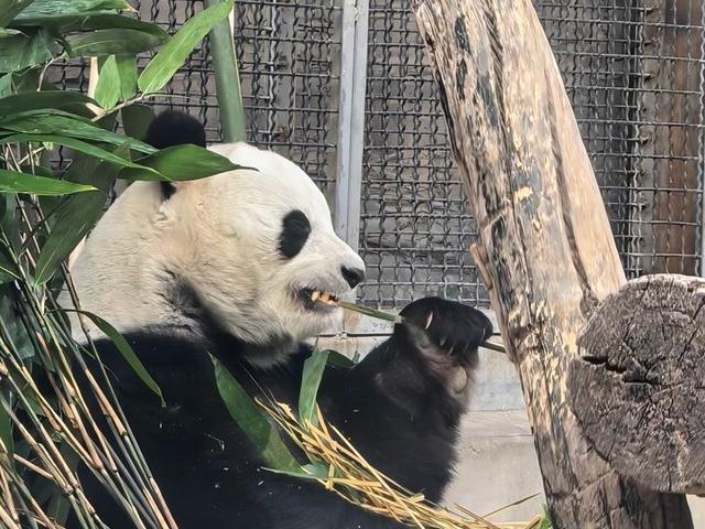 北京号最精彩 | 颜值拉满！京郊“雪乡”承包您的冬日快乐