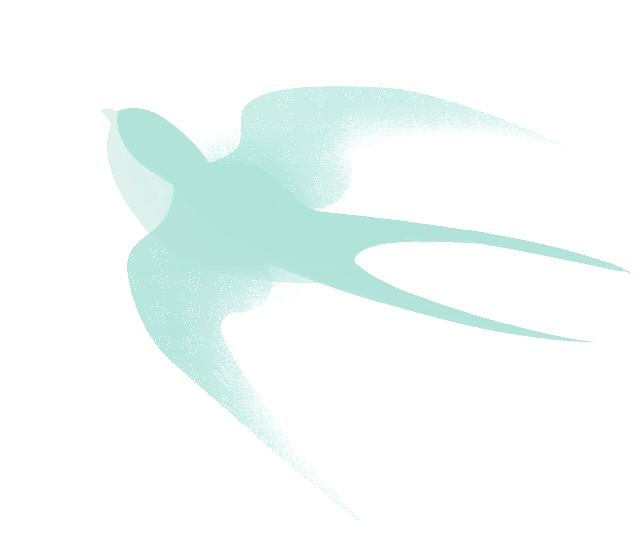 【冬季暖阳 凉山不凉】这份凉山2026跨年清单请收好→